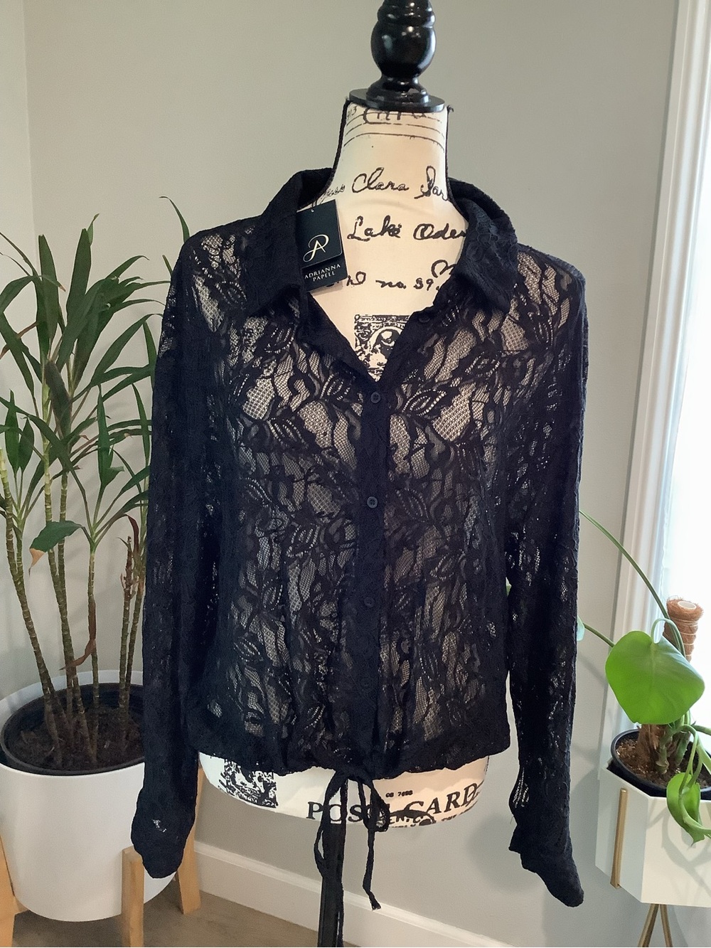 Adrianna Papell Black Sheer Lace Button-Front Blouse